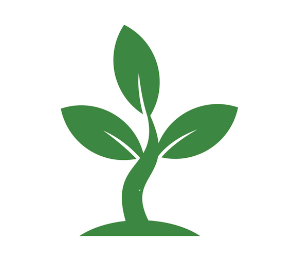 Logo du site